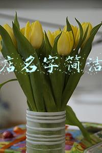 英文女装店名字简洁大气(描述家务活时能用到的英语说法)