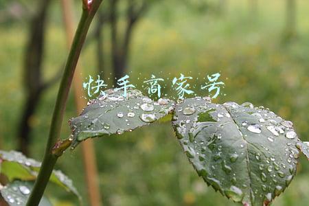 快手商家号