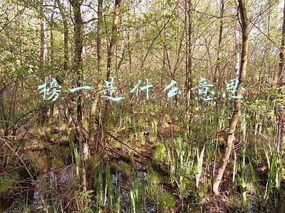 直播榜一是什么意思(好心帮忙，没想到“榜一”是假的)