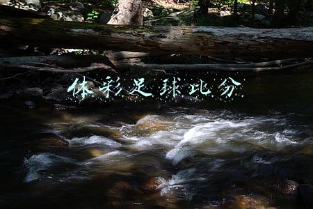 体彩足球比分
