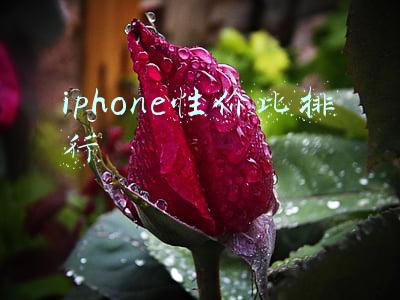 iphone性价比排行