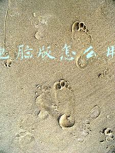 微信电脑版怎么用小程序