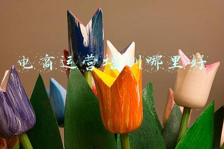 哪有电商运营培训课程(南阳电商培训学校那家好？)