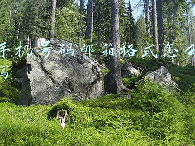 手机号码邮箱格式怎么写