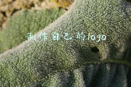 制作自己的logo