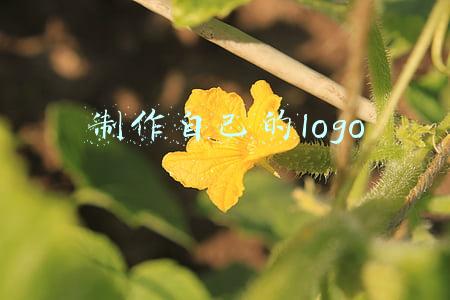 制作自己的logo