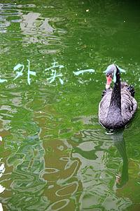 北京送外卖一个月能赚多少