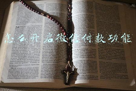 怎么开启微信付款功能