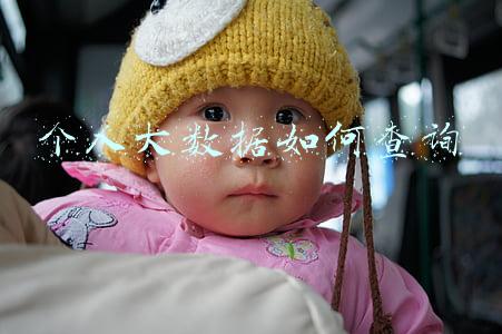 个人大数据如何查询要钱吗要多少钱(论文查重的收费标准是多少？)