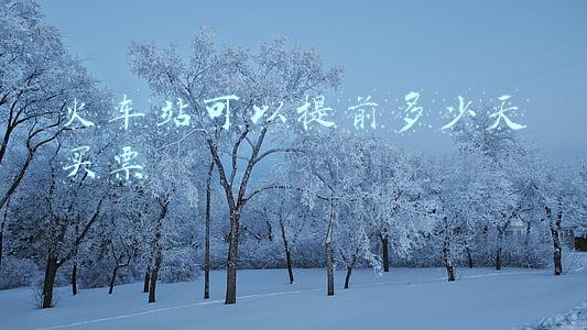 火车站可以提前多少天买票