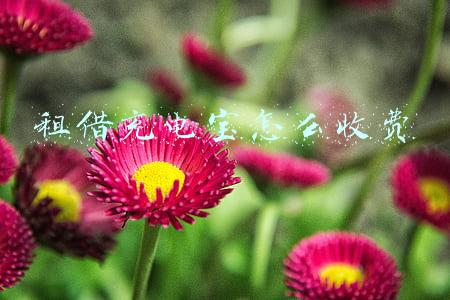 租借充电宝怎么收费