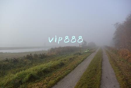 vip888