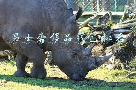 男士奢侈品钱包排名
