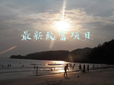 最新致富项目
