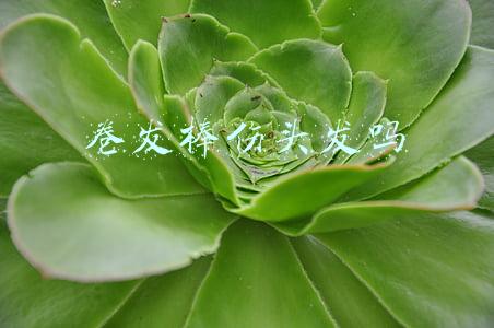 卷发棒伤头发吗