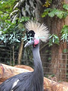 如何做好一个微商
