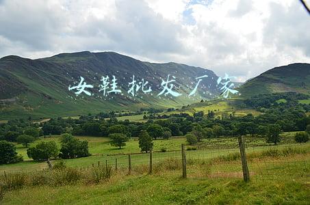 女鞋批发厂家
