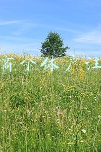 工商个体户注册