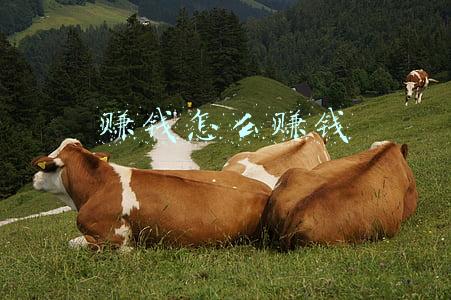 赚钱怎么赚钱