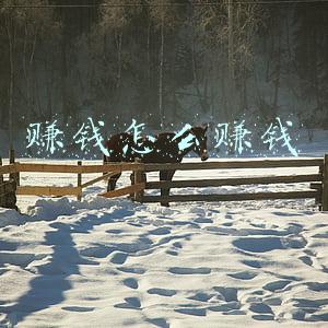 赚钱怎么赚钱