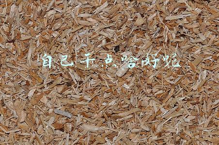 自己干点啥好呢