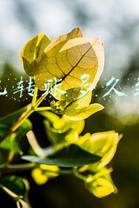 手机转账多久到账
