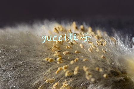 gucci鞋子