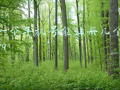 一个手机号能注册几个qq