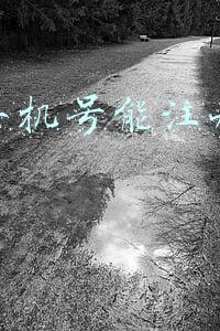 一个手机号能注册几个qq