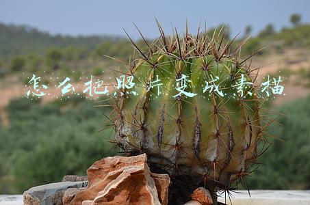 怎么把照片变成素描