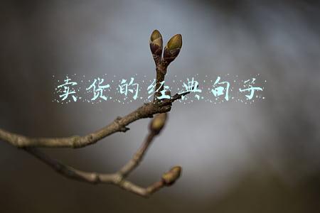 卖货的经典句子