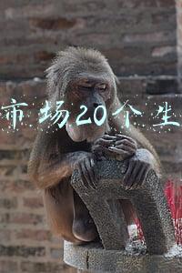 菜市场20个生意之3大冷门不起眼商机盘点(非洲旧衣行业，小贩日入22万，冷门的暴利职业)