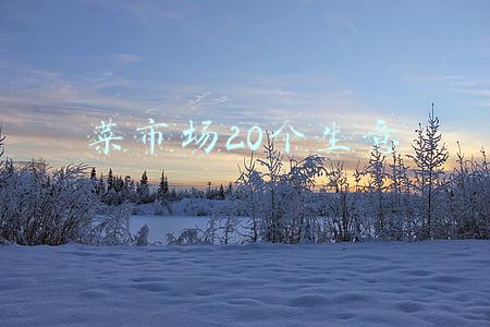 菜市场20个生意