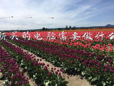 新买的电脑需要做什么