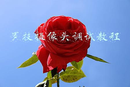 罗技摄像头调试教程