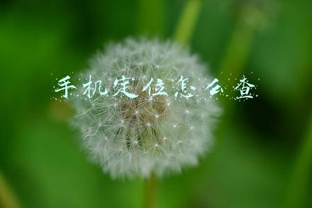 手机定位怎么查