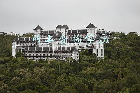网上查询学历