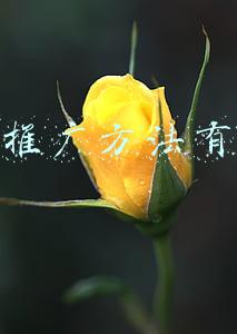 线下推广方法有哪些