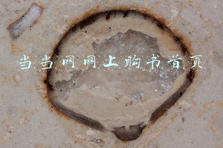当当网网上购书首页v(当当网全国文化地标打卡 感受故宫六百年的故事)