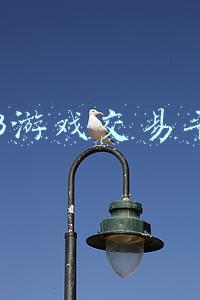 5713游戏交易平台
