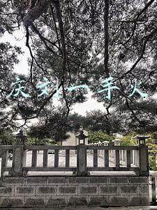 重庆刘一手火锅