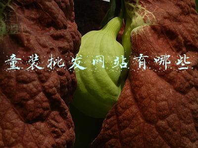 童装批发网站有哪些