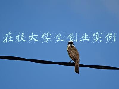 在校大学生创业实例