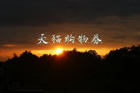天猫购物券兑换码激活(#用卡推荐# 玩转民生天猫88VIP白金卡)