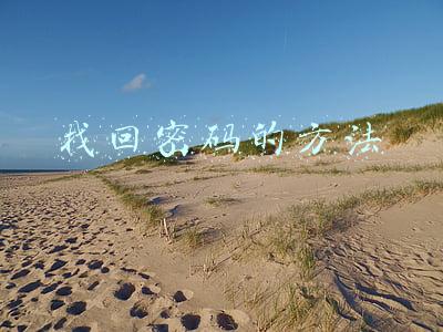 找回密码的方法