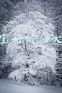 淘宝好评语大全