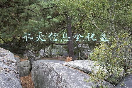 航天信息金税盘