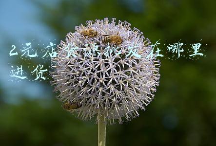 2元店货源批发在哪里进货东莞常平衣服批发在哪星进货(广东东莞批发市场一览表)