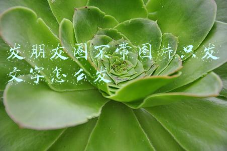 发朋友圈不带图片只发文字怎么发