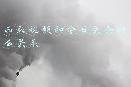 西瓜视频和今日头条什么关系